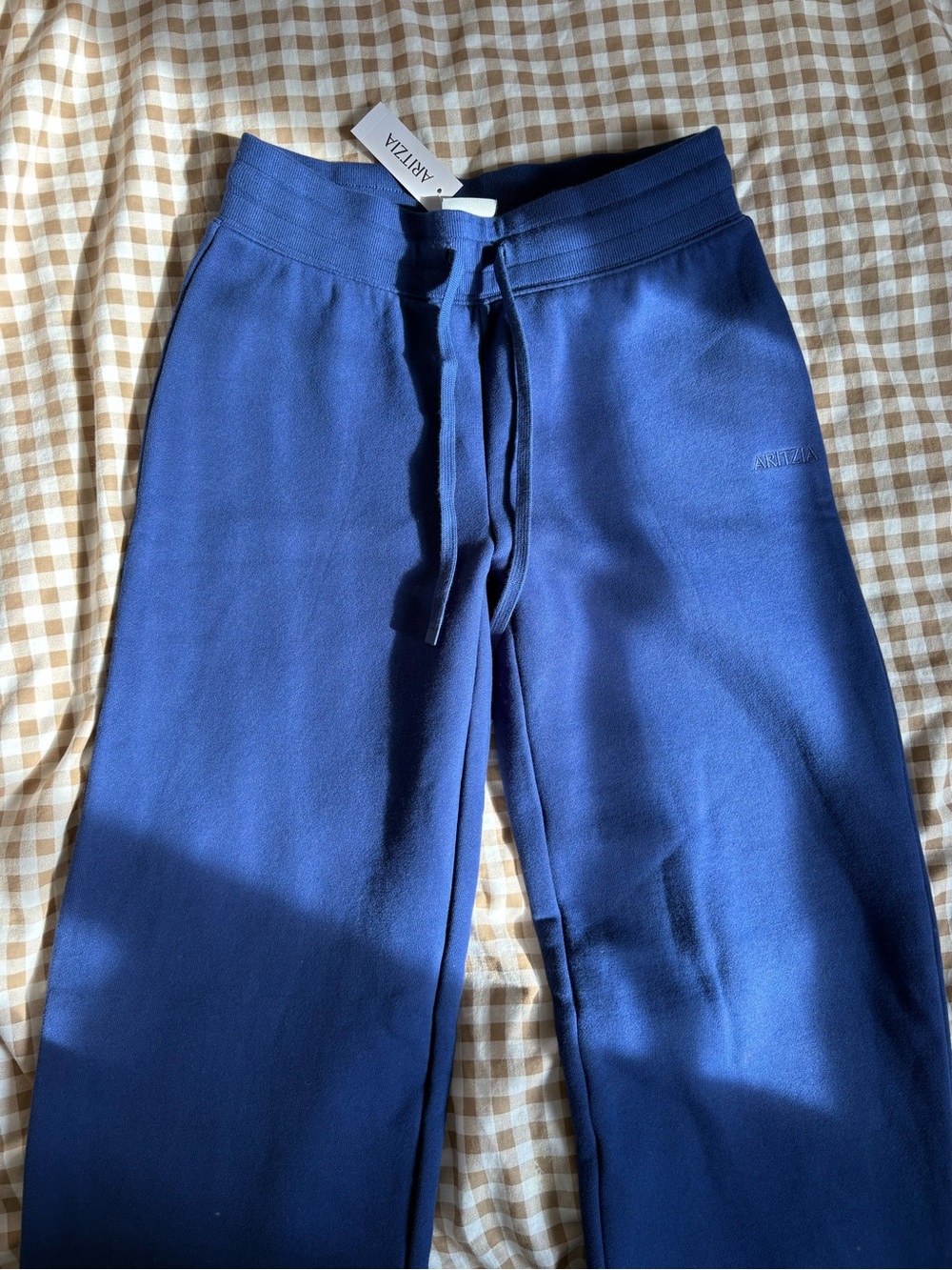 Aritzia Perfect Banded Sweatpants- Byron Blue
